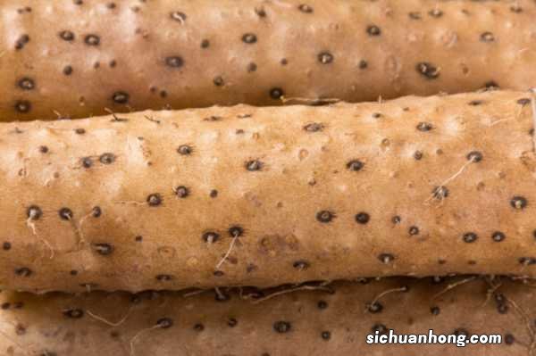 山药的功效与作用,吃山药有什么好处