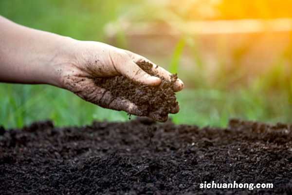 鸡粪怎么发酵成有机肥,怎么施用