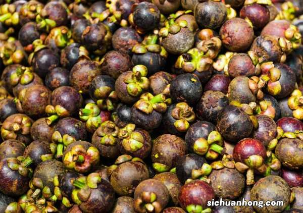 山竹怎么吃有什么功效,山竹里面的核能吃吗