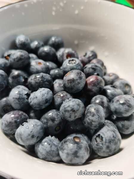 种苗多少钱一棵 蓝莓树苗多少钱一棵