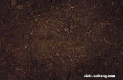 松针土适合种什么花，怎么制作