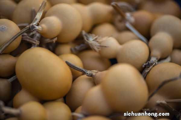 葫芦苗不长是因为什么,葫芦苗用什么肥料