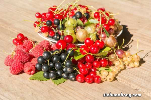 世上最贵的水果,吃一口能买一套房!