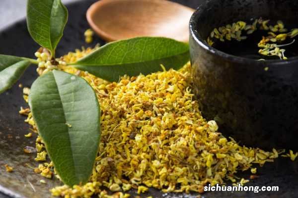 家里为什么不能种桂花