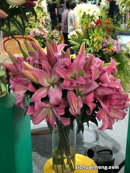 百合花能放卧室吗