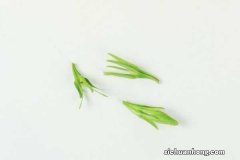 水栀子的养殖方法和注意事项