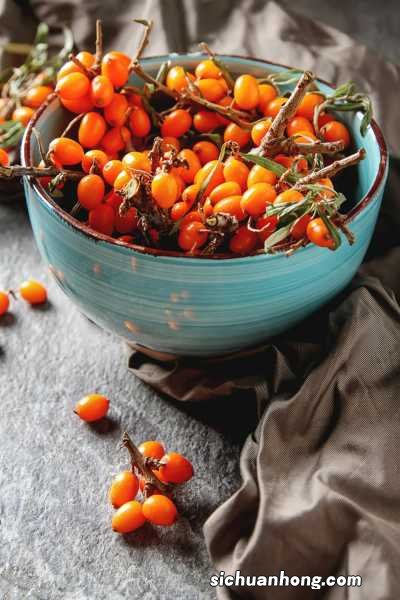 沙棘的修剪技术,沙棘整形修剪方法