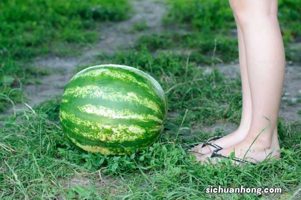 孕妇可以吃西瓜吗
