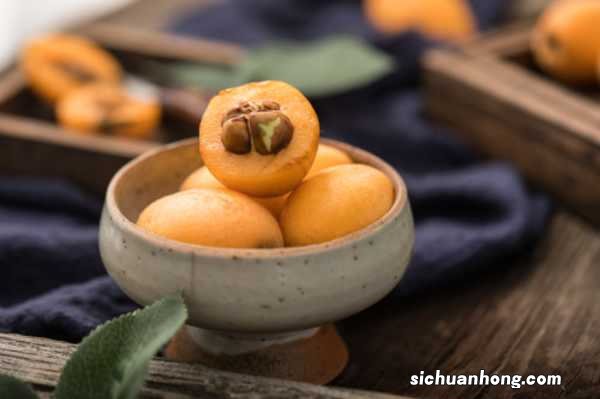 枇杷的养殖方法和注意事项