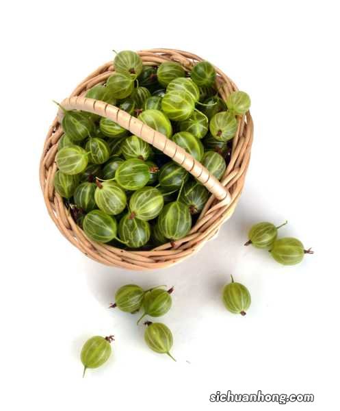 灯笼果的功效与作用