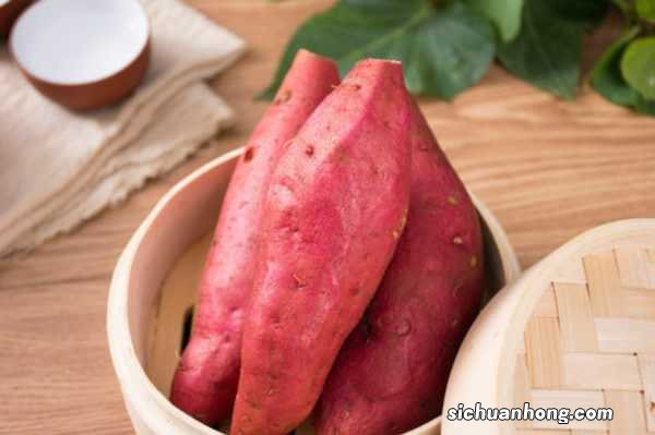 红薯盆景的养殖方法和注意事项