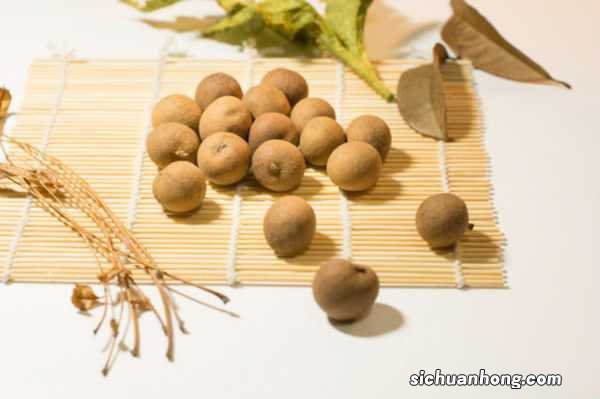 桂圆的养殖方法和注意事项