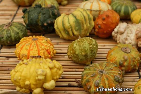 南瓜不能和什么一起吃