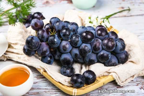 北方葡萄怎么防冻，防冻怎么处理