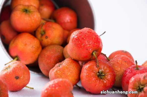 山楂树什么时候移栽，山楂树怎么移栽