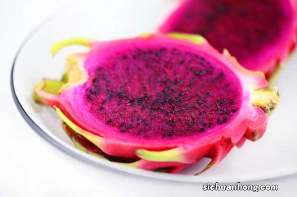 火龙果扦插后多久可以浇水,扦插多久结果