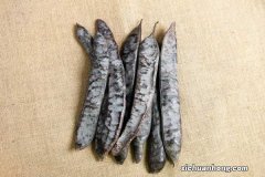 皂角的功效与作用