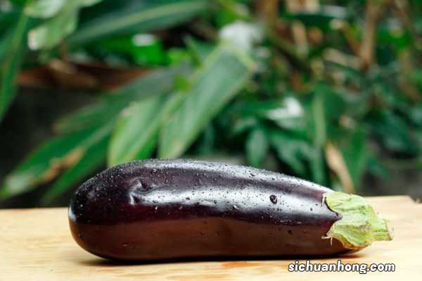 茄子的养殖方法