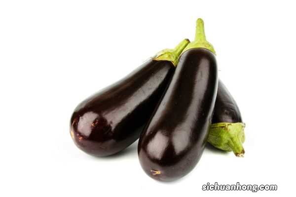 茄子的养殖方法