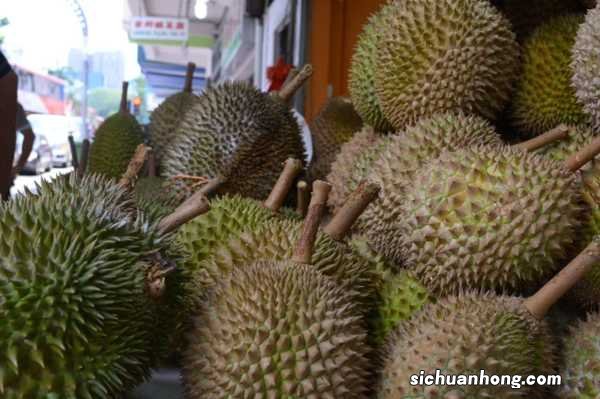 榴莲生长在什么地方，长在树上还是地上