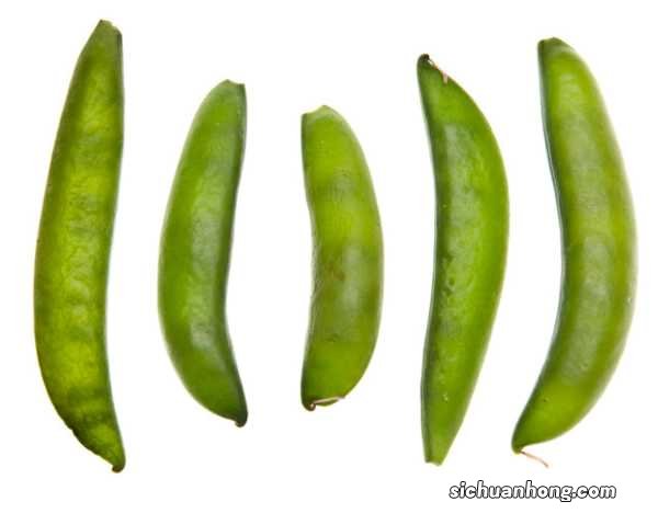 荷兰豆的种植与管理技术要点