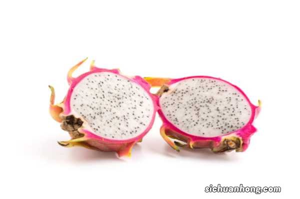 火龙果扦插多久发芽