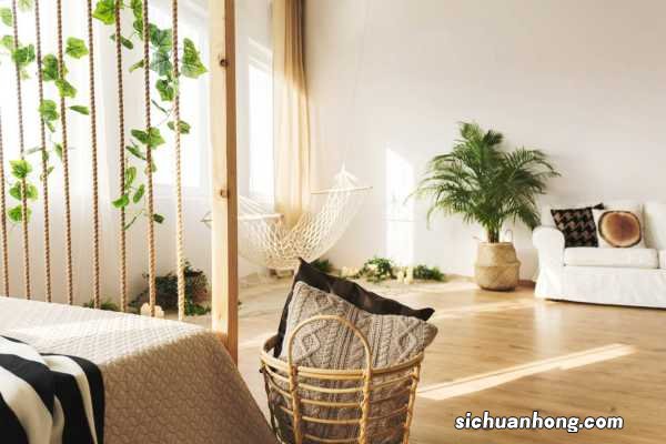 这花养1年就成墙,甲醛雾霾全不怕,瞬间变氧吧