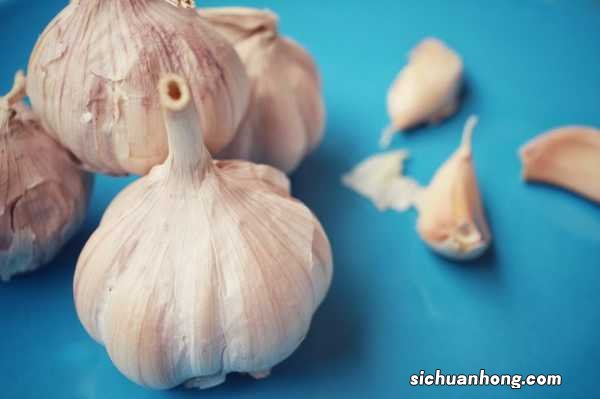 大蒜种植时间,大蒜什么时候种