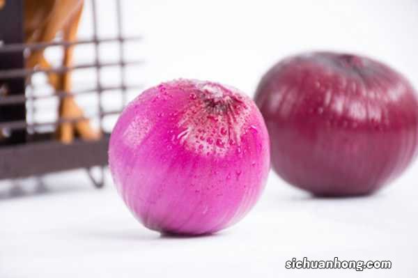 洋葱种植技术，洋葱图片