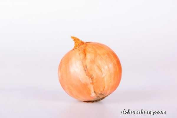 洋葱种植技术，洋葱图片