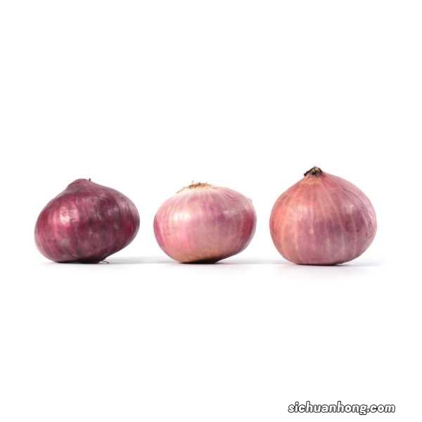 洋葱怎么种，洋葱什么时候种植