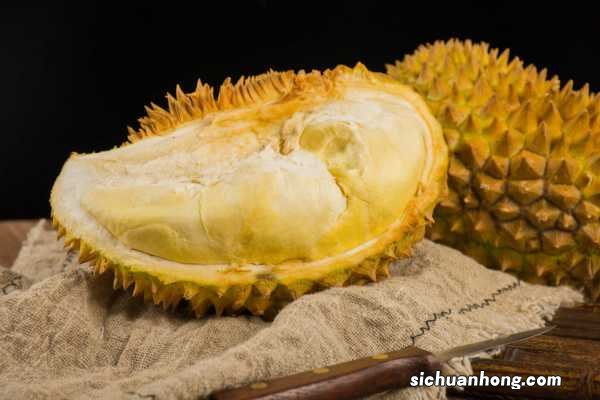 形态特征和养护方法简介 榴莲图片