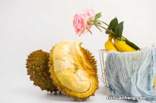 形态特征和养护方法简介 榴莲图片