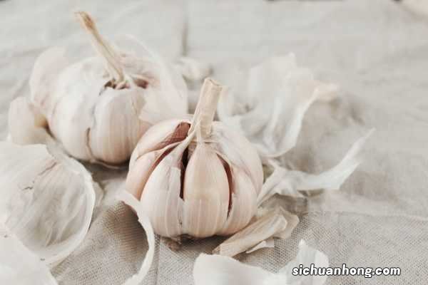 大蒜会开花吗，如何繁殖