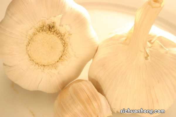 大蒜的功效与作用