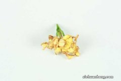 为什么栀子花叶子发黑