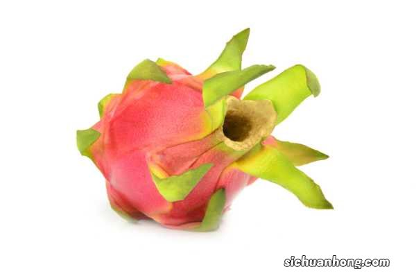 火龙果的功效和作用