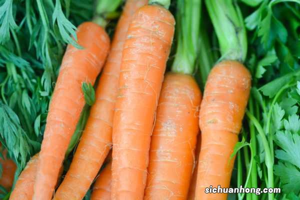 胡萝卜的养殖方法