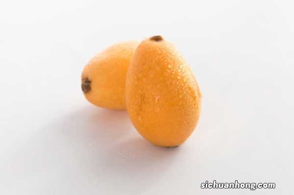 枇杷的种子可以种吗