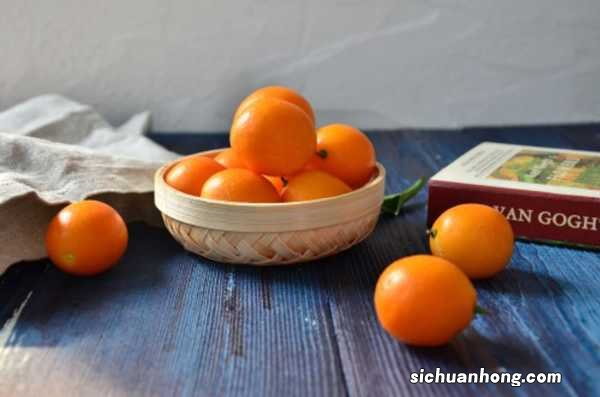 金桔树的养殖方法和注意事项