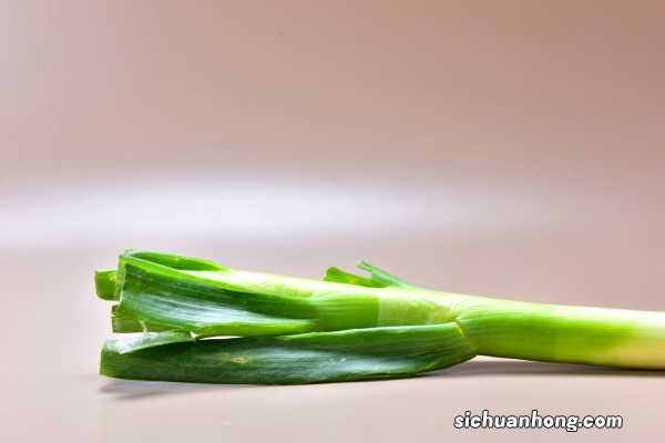 盆栽葱如何越来越粗