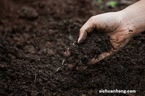 养花通常用什么土