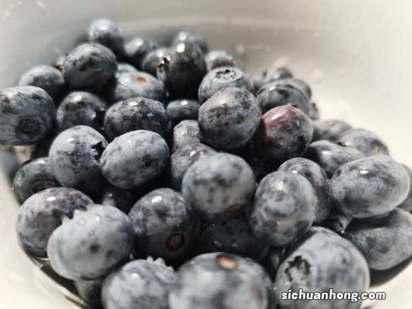 蓝莓树几年结果