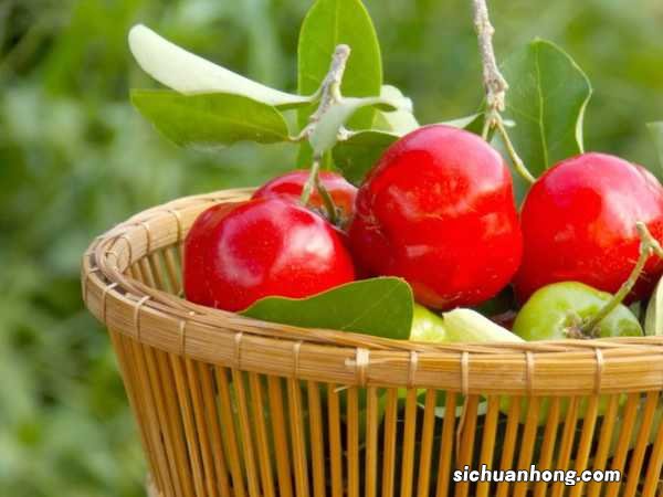 澳洲樱桃什么时候成熟