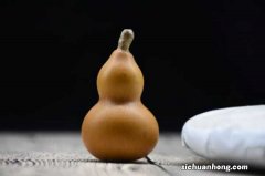 干葫芦籽的种植方法