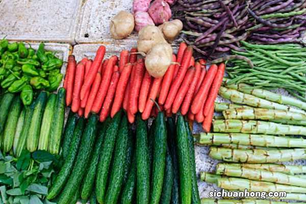 适合冬季种的蔬菜