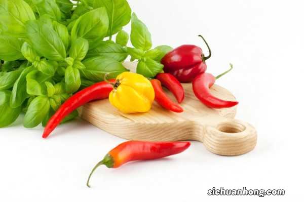 辣椒树能活多少年