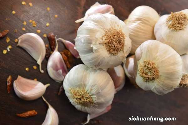 矿泉水瓶养蒜苗的方法