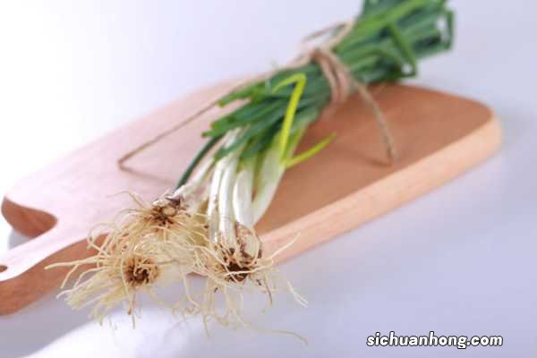 阳台可以种葱吗,如何养爆盆?