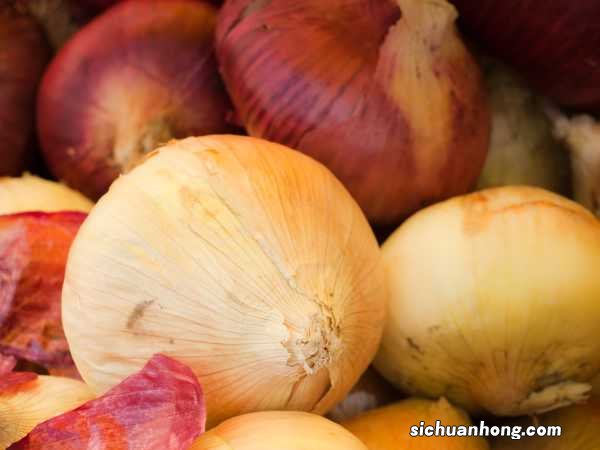 家里种一盆洋葱，能吃好看还防感冒